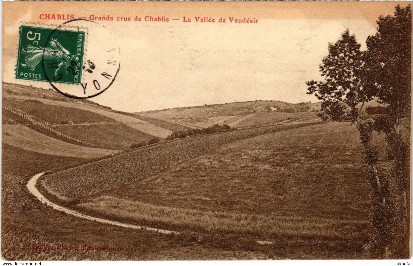 CPA CHABLIS - Grands crus de CHABLIS - La Vallée de Vaudesir (108323)