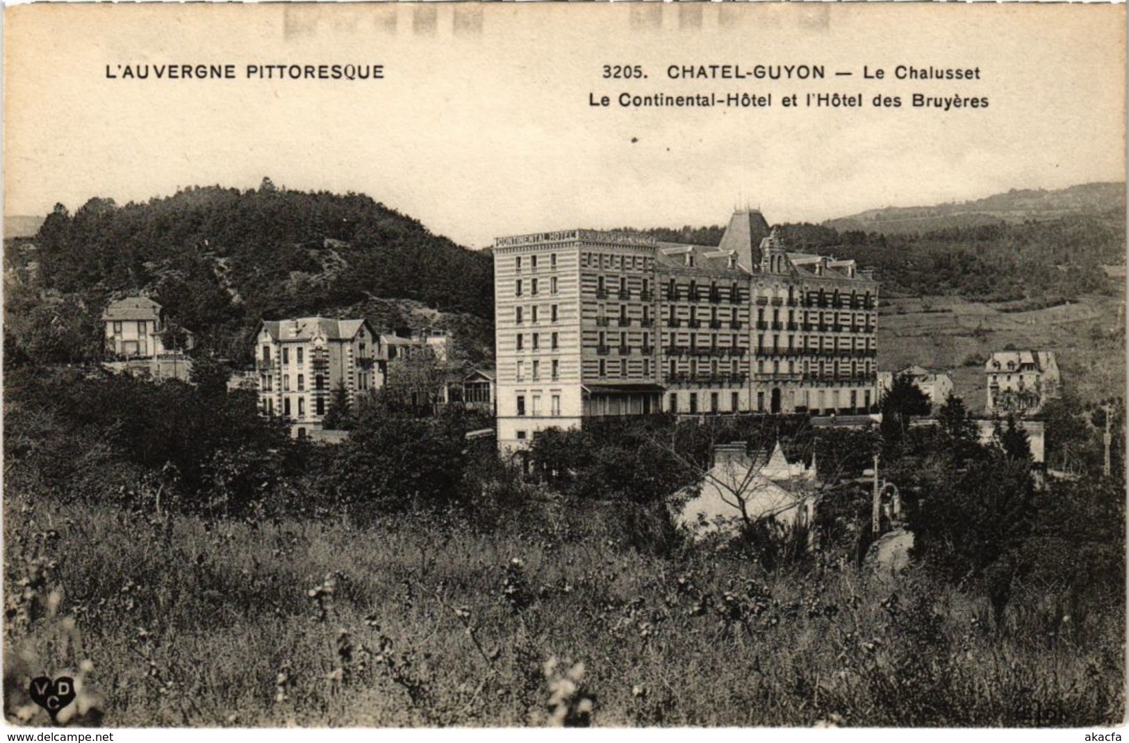 CPA CHATEL-GUYON - Le Chalusset Hotel Continental Hotel des Bruyeres (72469)