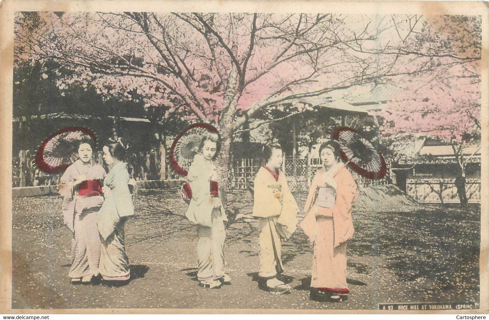 CPA Cherry Blossom at Noge Hill Yokohama - Noce - Cachet San Francisco 1905