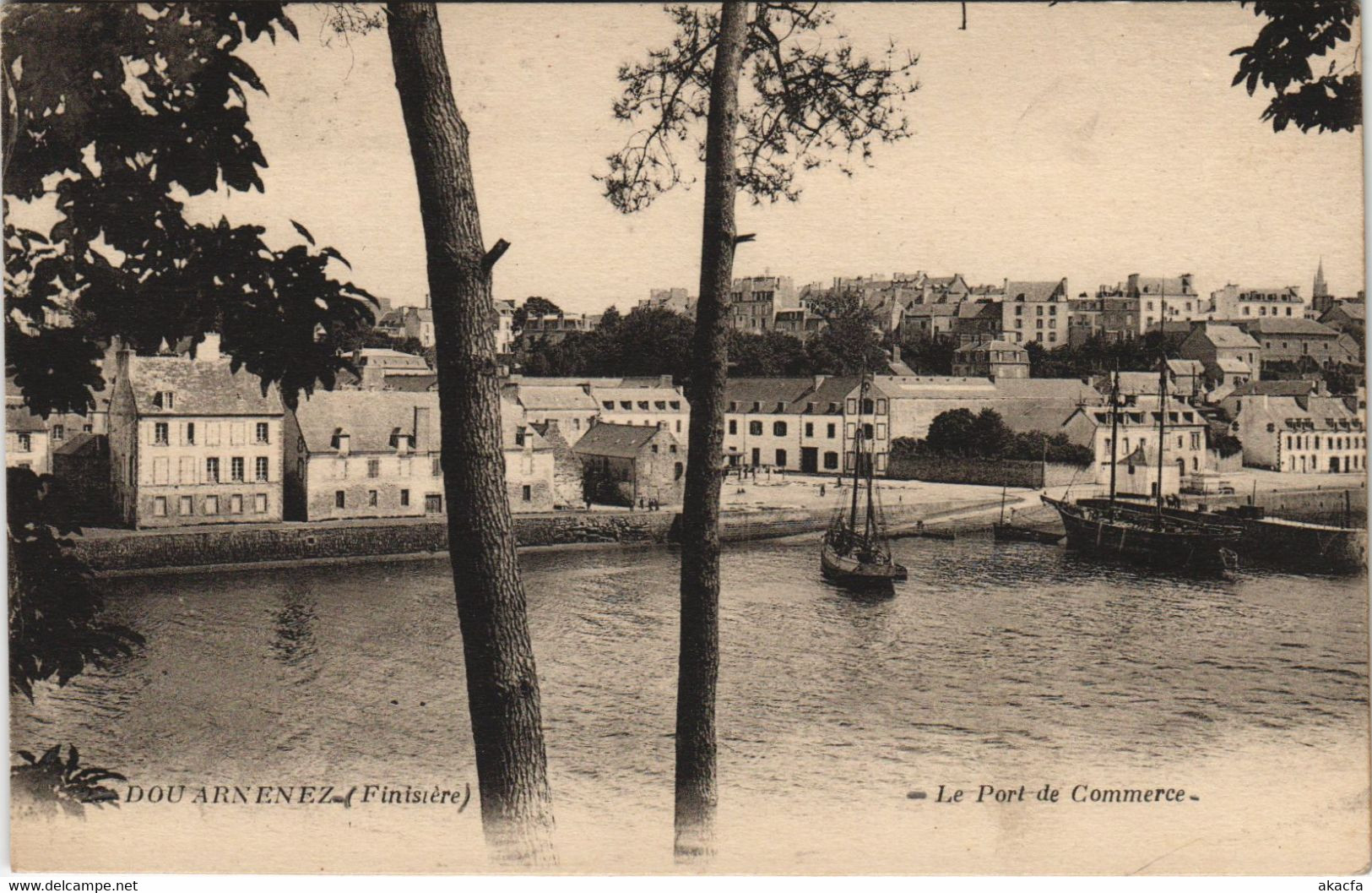 CPA DOUARNENEZ - Le Port de Commerce (252563)