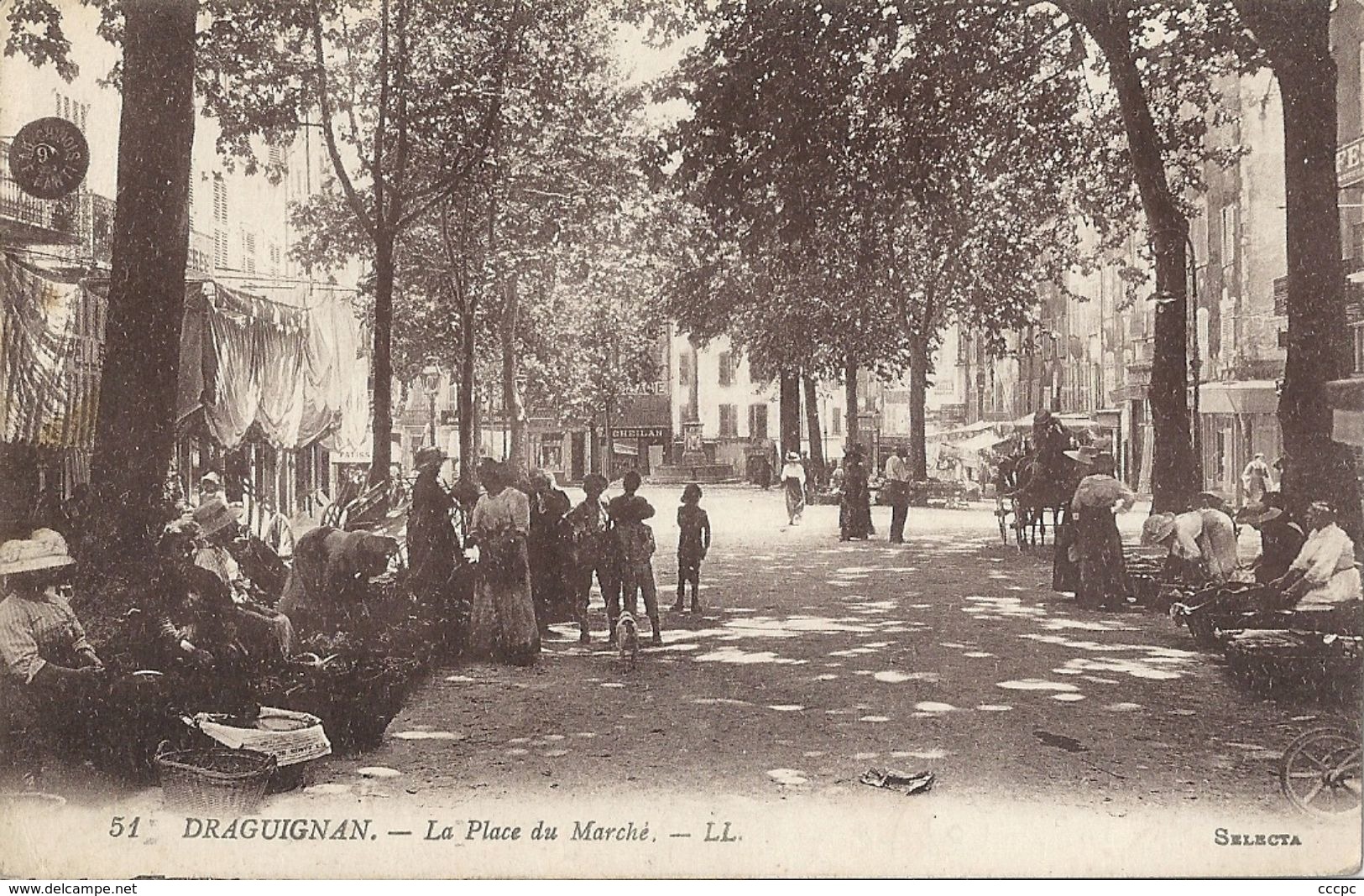 CPA Draguignan La Place du Marché