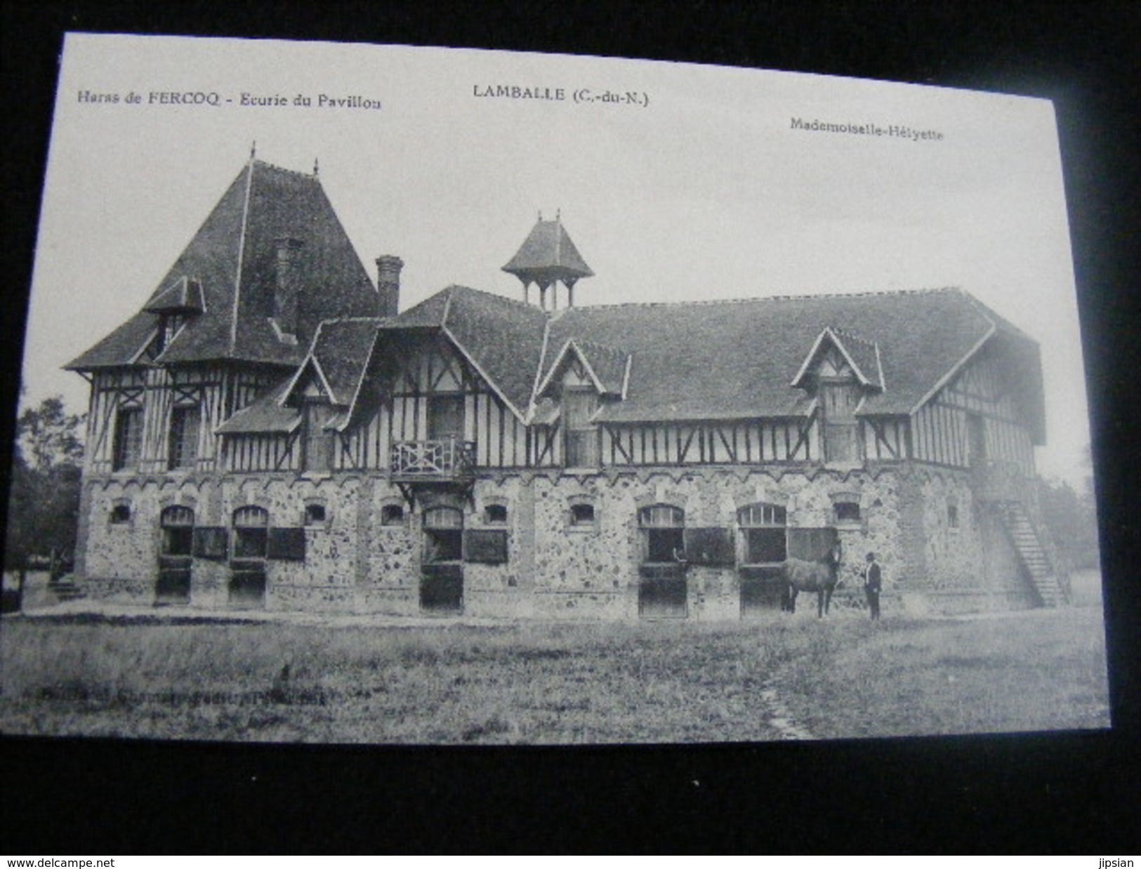 cpa du  22  Lamballe haras de Fercoq - Ecurie du Pavillon -- Mademoiselle Hélyette    NCL58