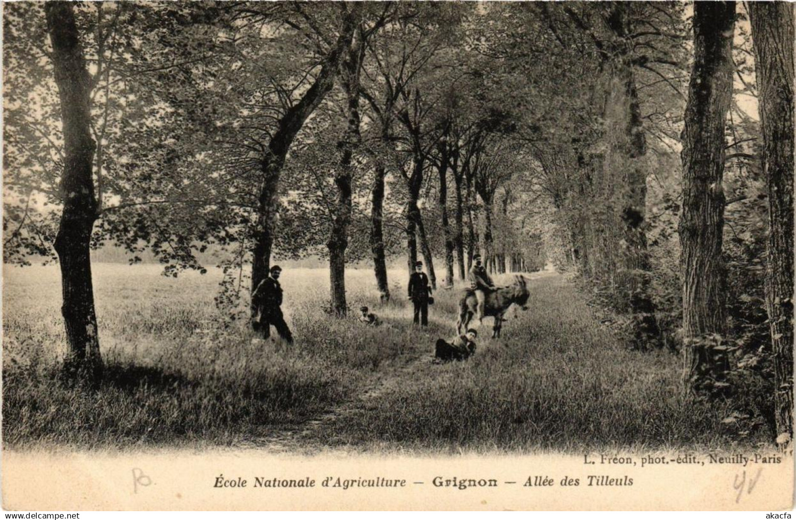 CPA École Nationale d'Agriculture GRIGNON Allée des Tilleuls (617983)