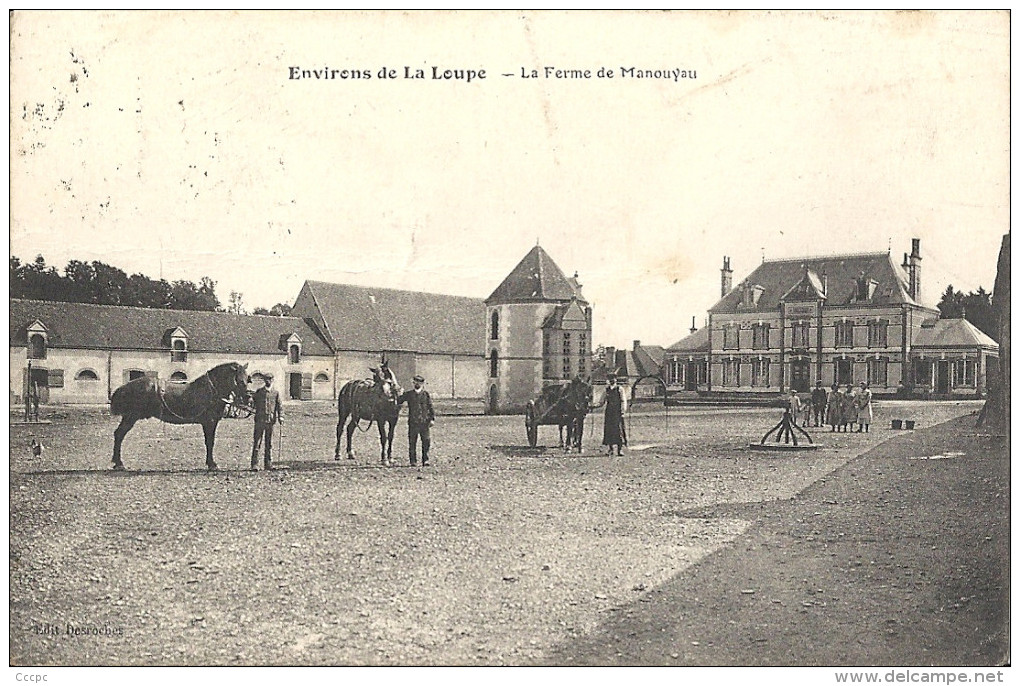 CPA Environs de La Loupe - La Ferme de Manouyau - ferme équestre - chevaux