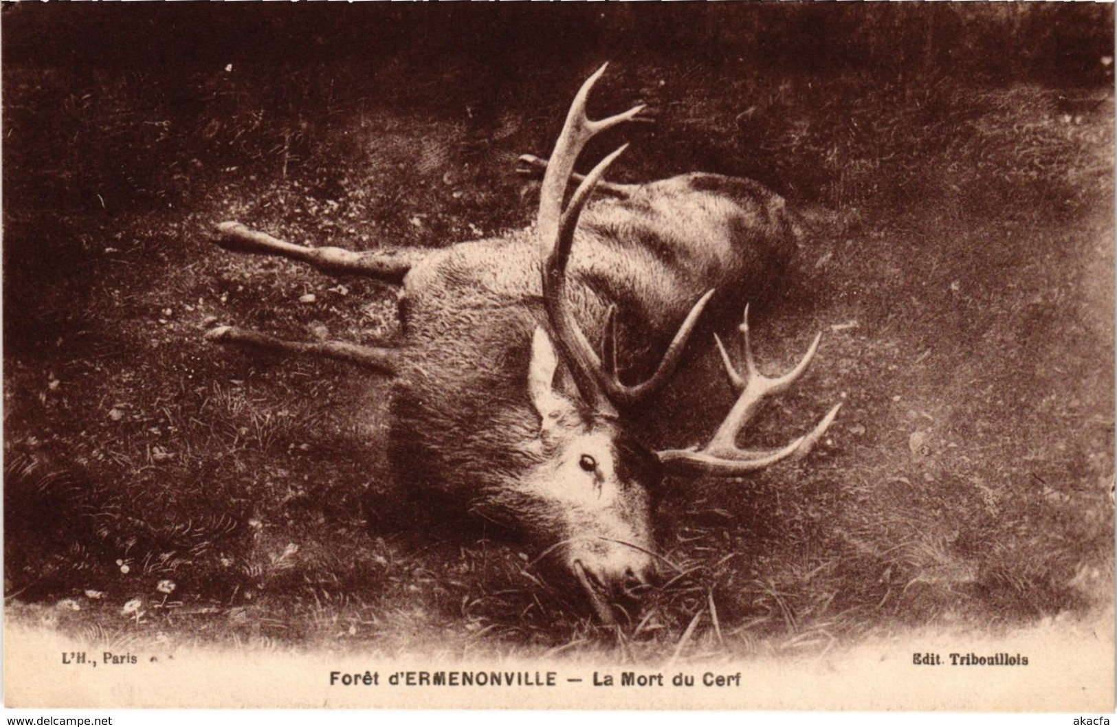 CPA Ermenonville - Foret d'Ermenonville - La Mort du Cerf (1032261)