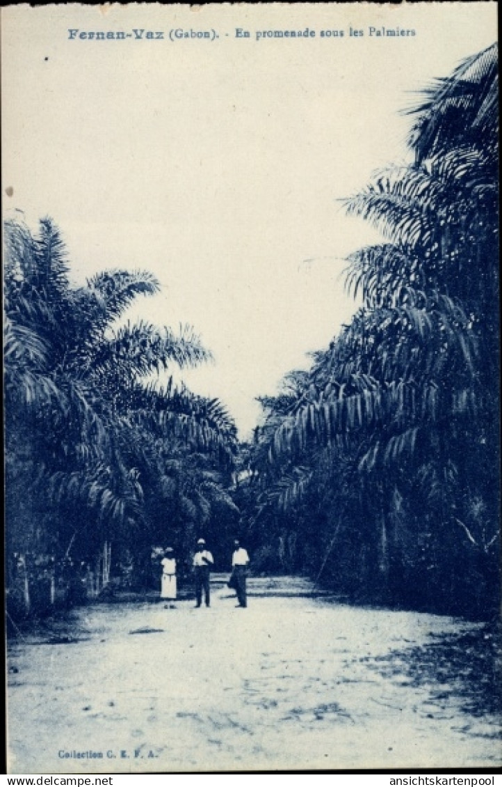 CPA Fernan Vaz Gabun, En promenade sous les Palmiers