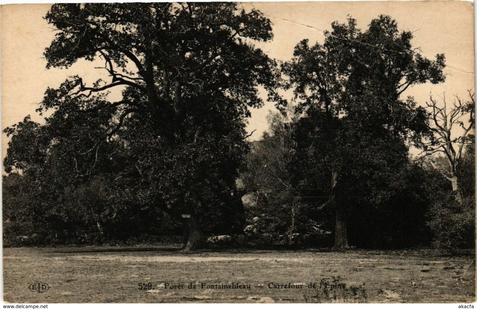 CPA Foret de FONTAINEBLEAU - Carrefour de l'Epine (166642)