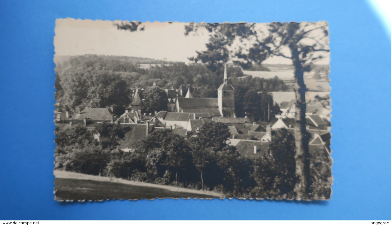 CPA  Haute Marne -  Arc-en-Barrois - vue générale