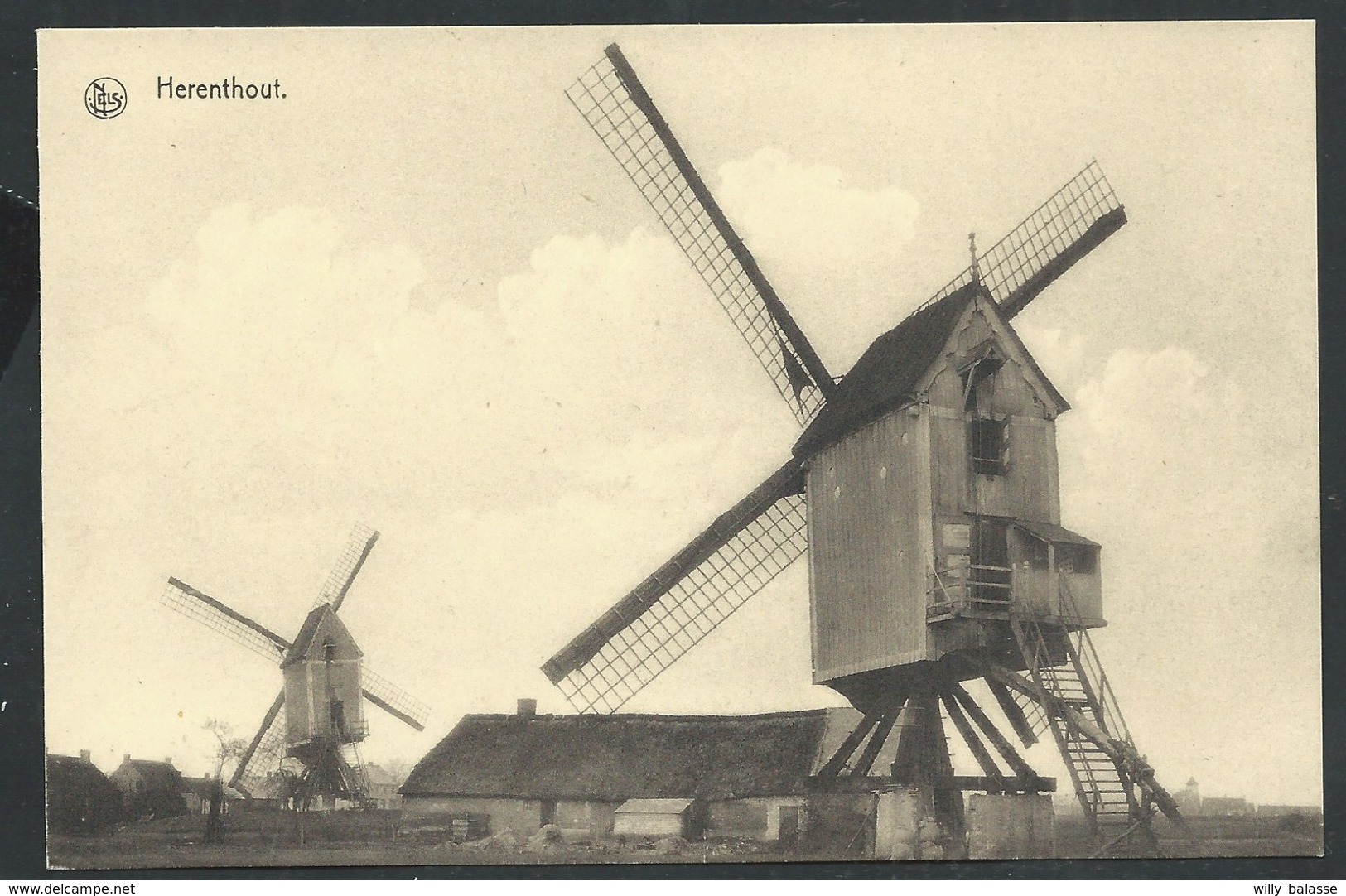 +++ CPA - HERENTHOUT - Molen Moulin - Nels   //