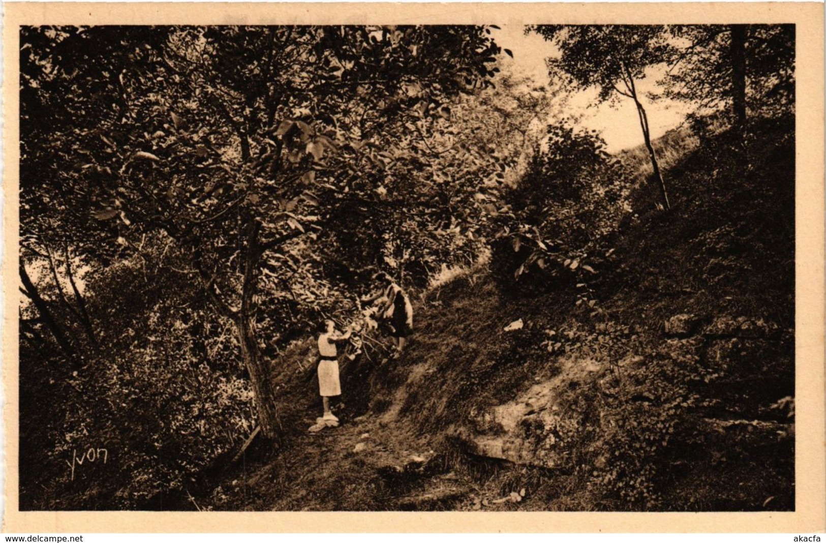 CPA L'Oiseau Bleu - BOISSY-l'AILLERIE (Seine-et-OISE) - La Colline .. (290134)