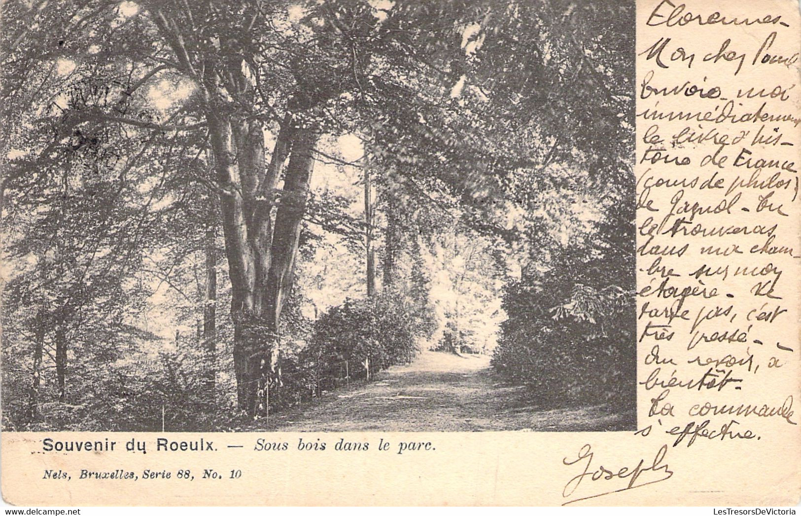 CPA Le Roeulx - Souvenir du Roeulx - Sous bois dans le parc