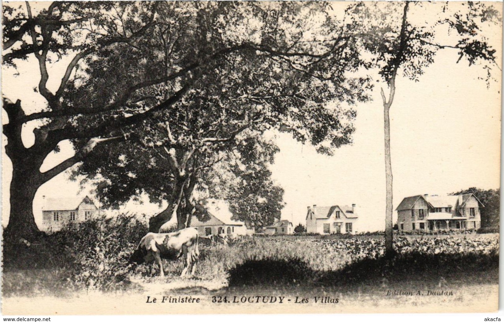 CPA Loctudy- Les Villas FRANCE (1026682)