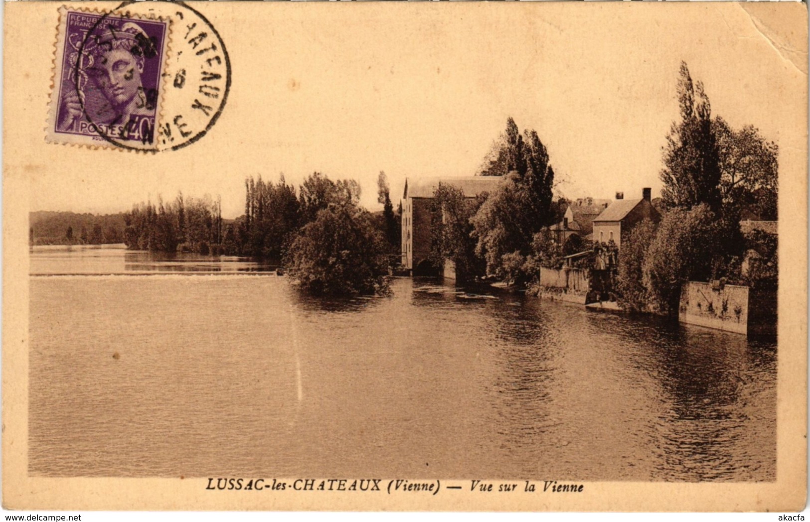 CPA Lussac-les-Chateaux - Vue sur la Vienne (111686)