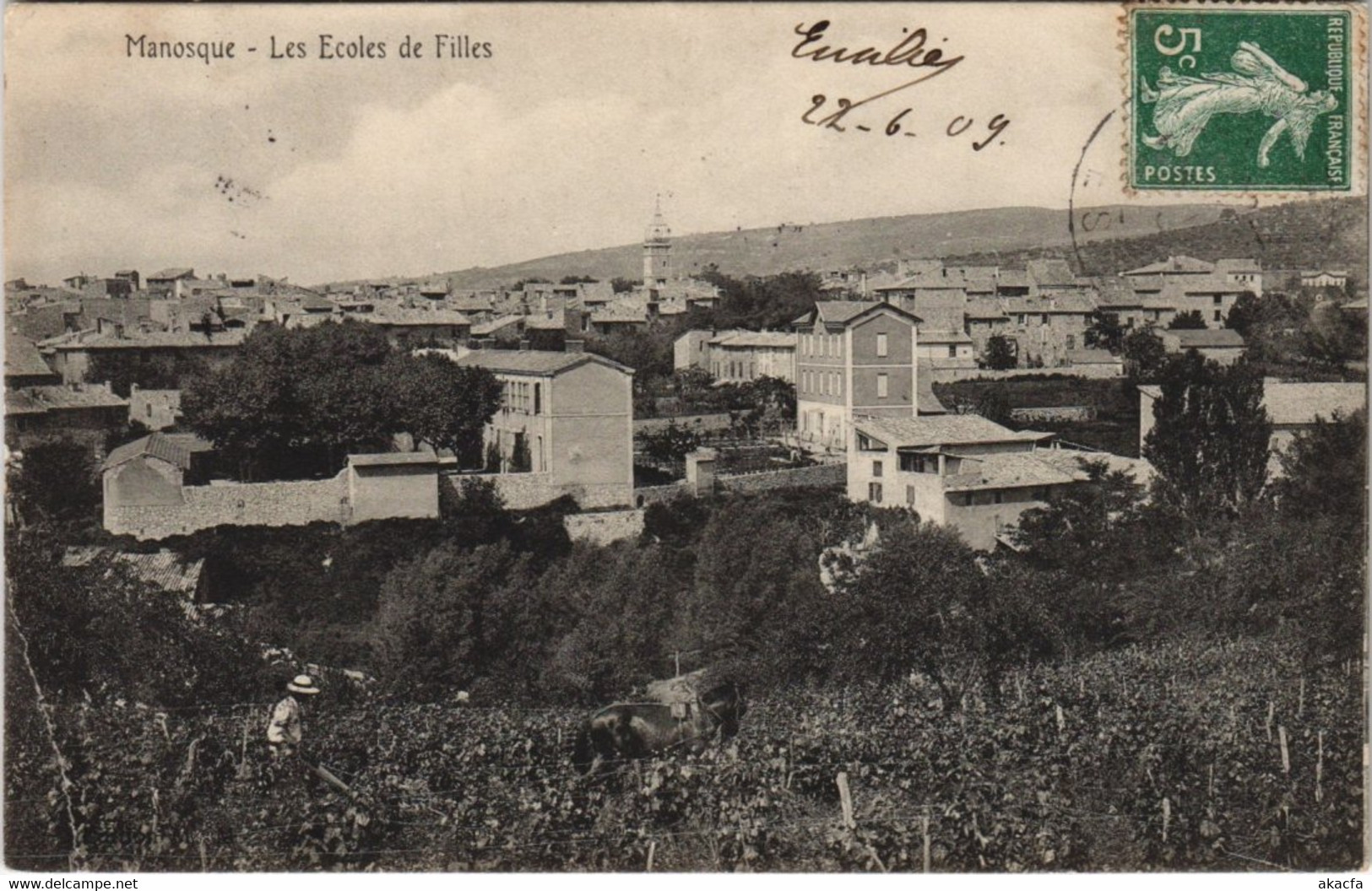 CPA MANOSQUE - Les Ecoles de Filles (143116)