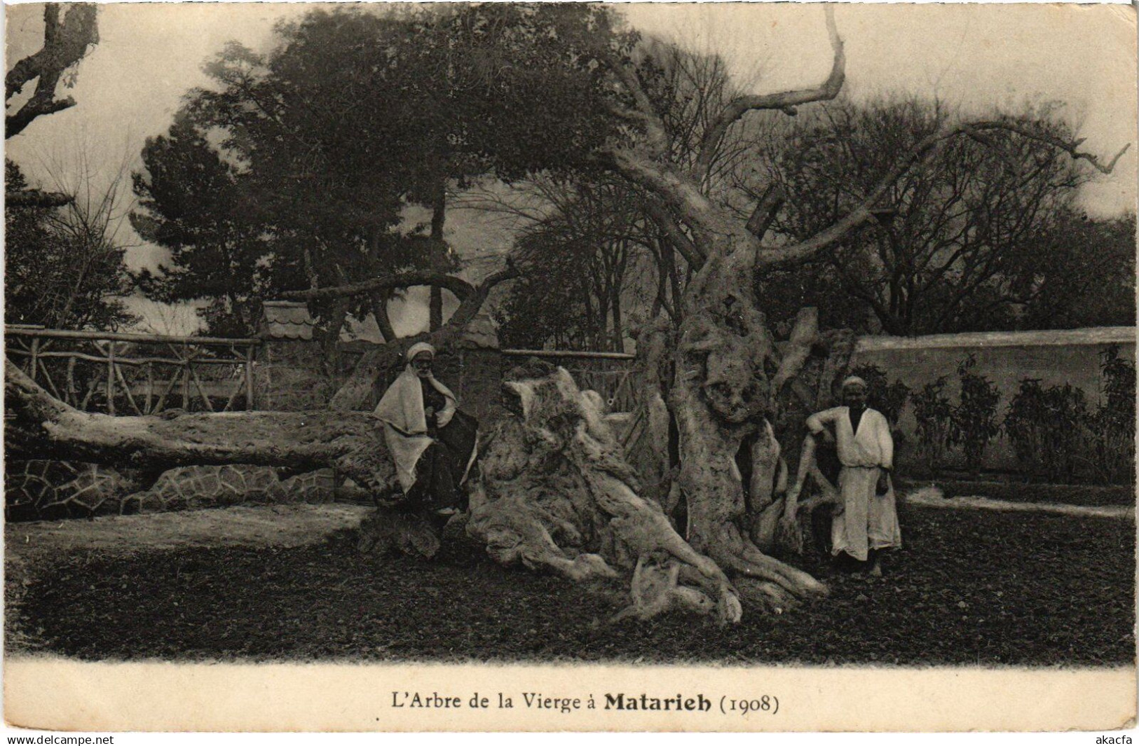 CPA MATAREYA L'Arbre de la Vierge a Matarieh EGYPT (1324155)