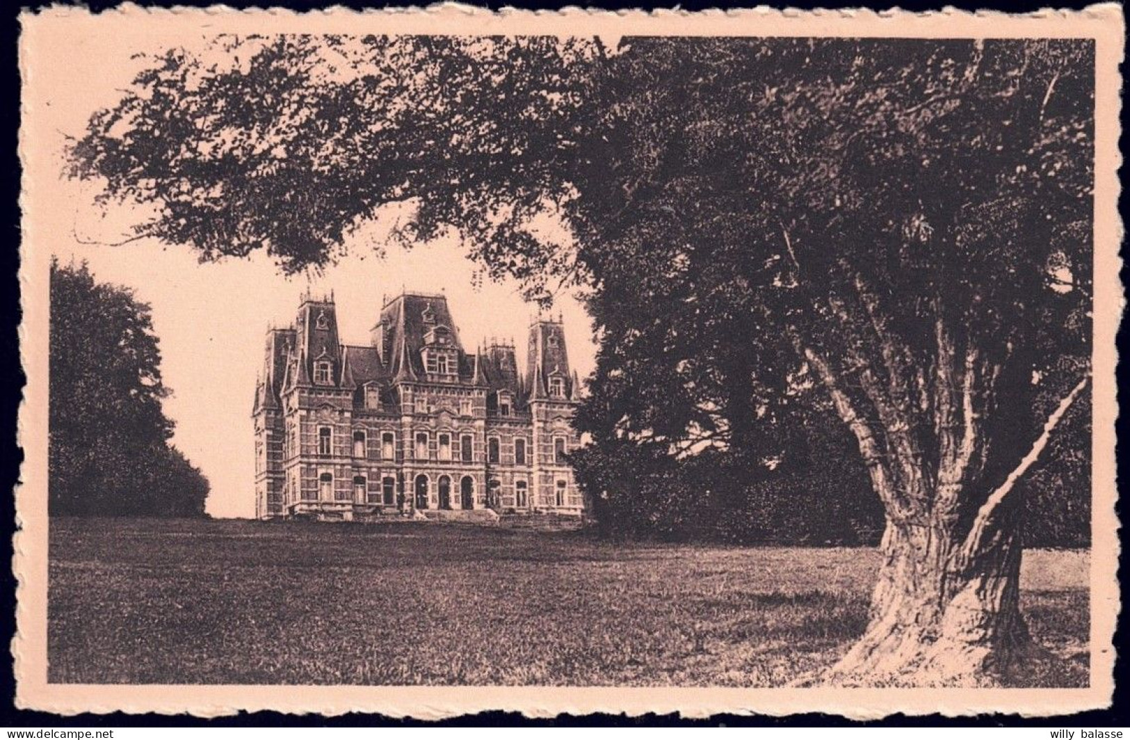 +++ CPA - MIANOYE - ASSESSE - Château //