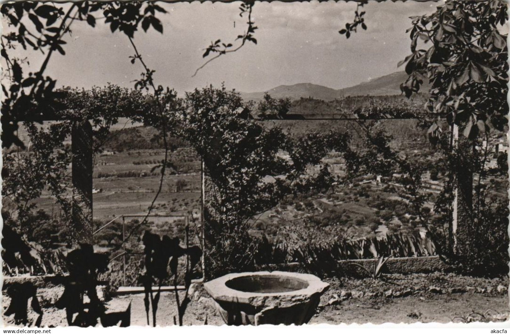 CPA MONTAUROUX Le Prieure - Maison de Repos - Les Jardins (1113155)