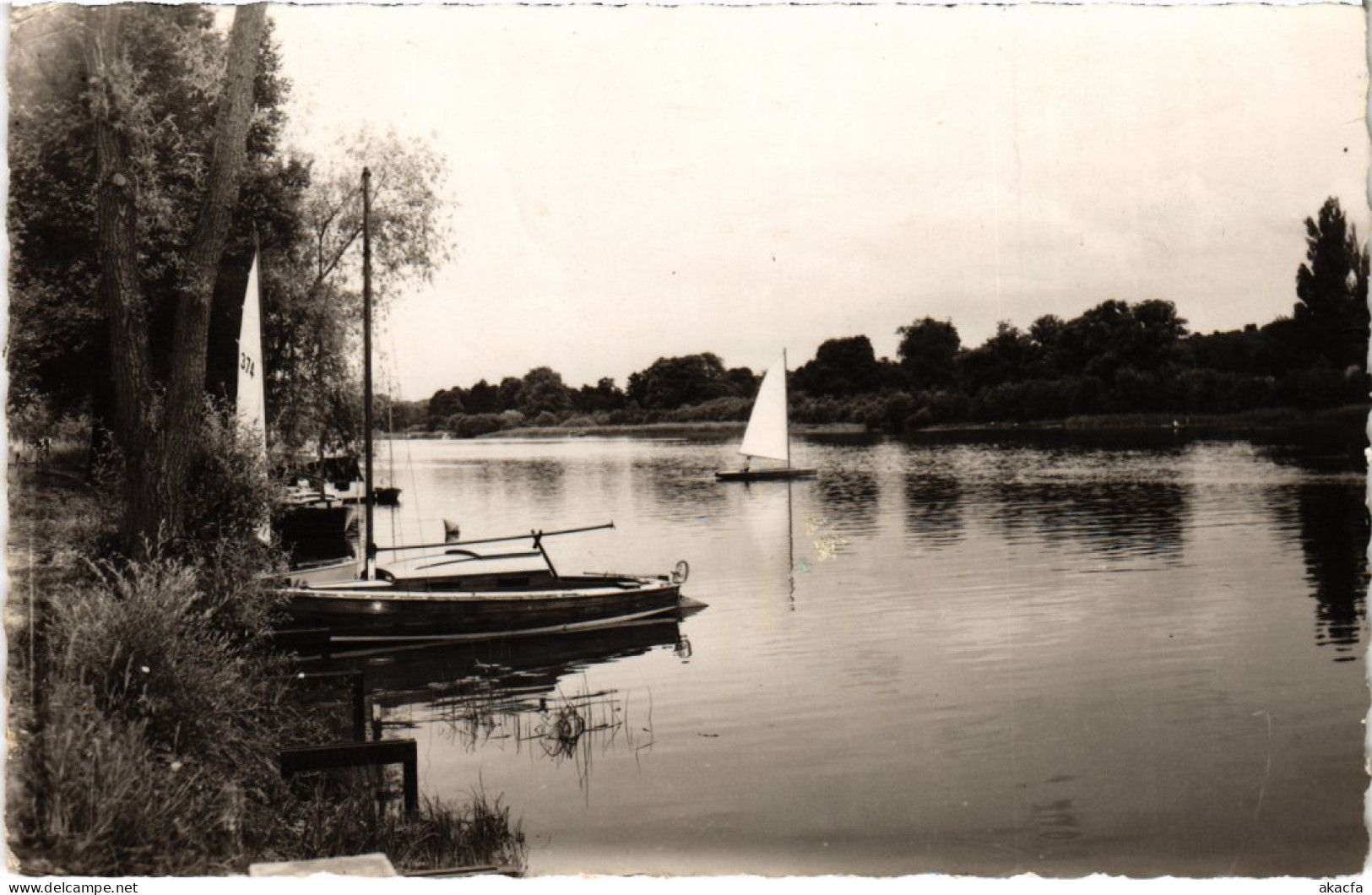 CPA MORSANG-sur-ORGE Les Bords de la Seine (1355107)