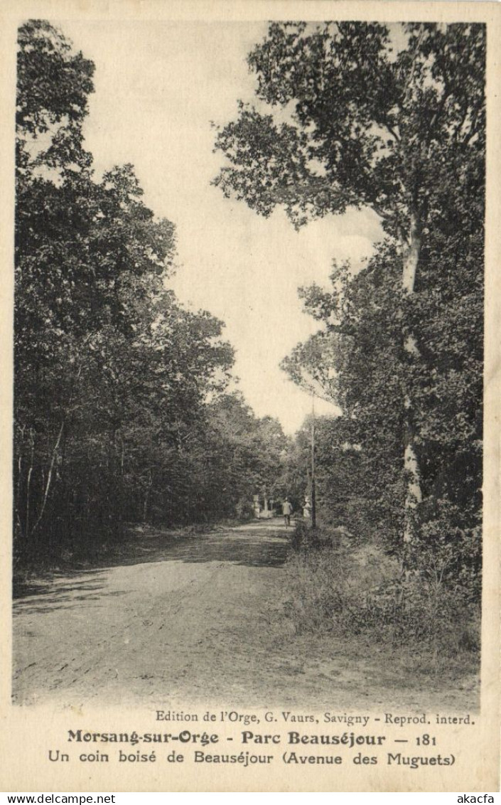 CPA Morsang-sur-Orge Parc Beauséjour Un coin de Beausékour (Avenue.... (172039)