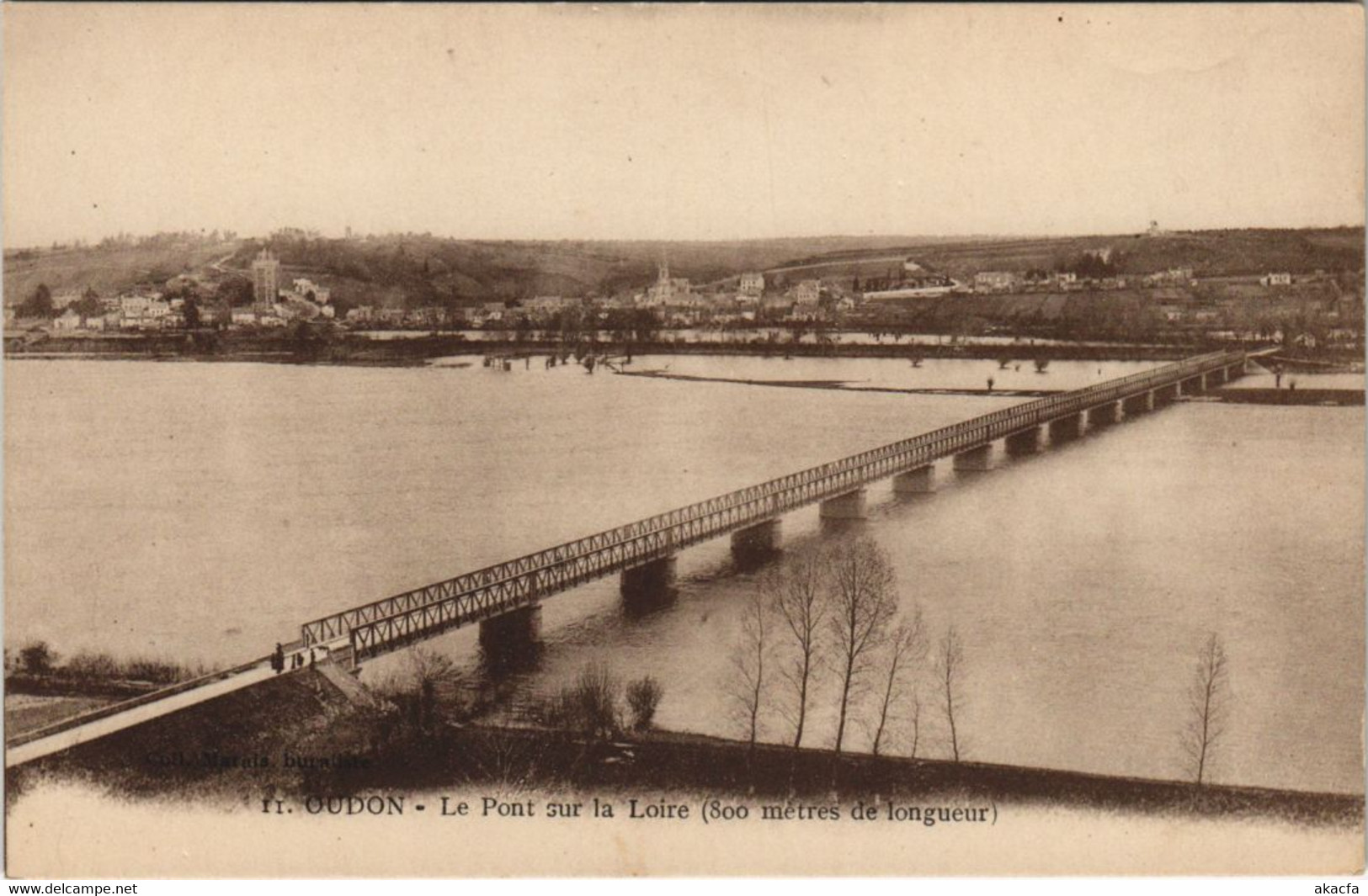 CPA OUDON Le Pont sur la Loire (150508)