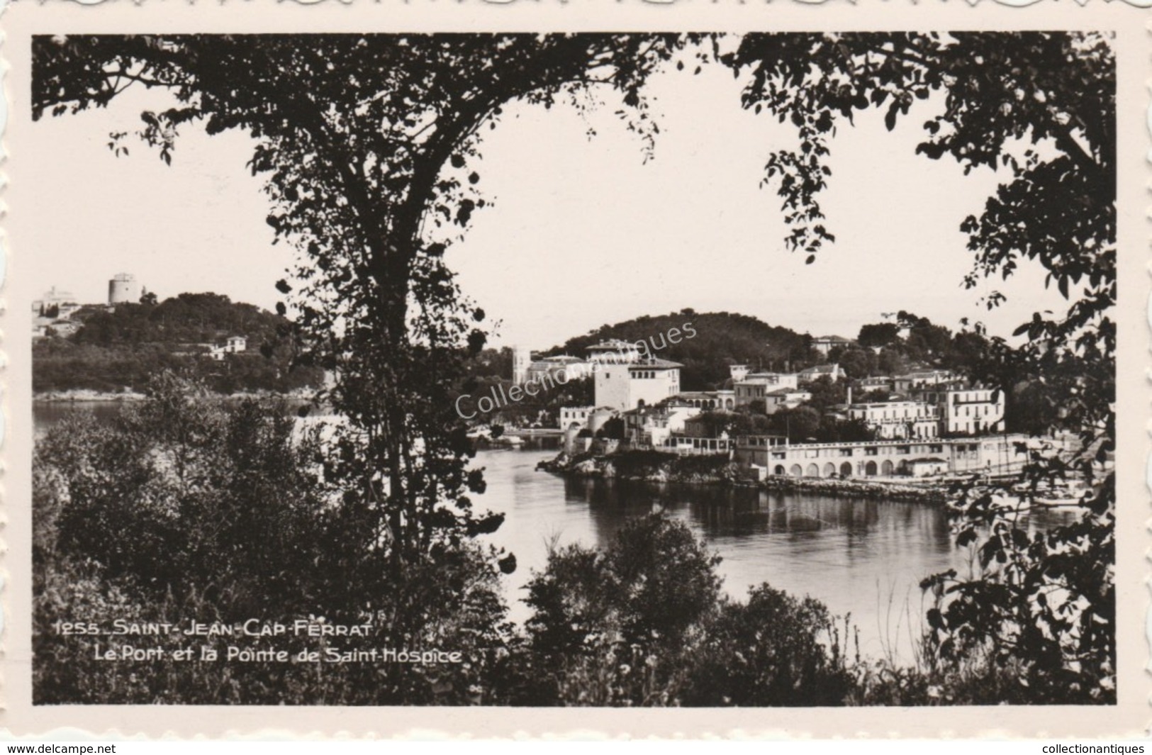 CPA - photographique - Saint-Jean-Cap-Ferrat - Le Port et la Pointe de Saint-Hospice - Non circulée