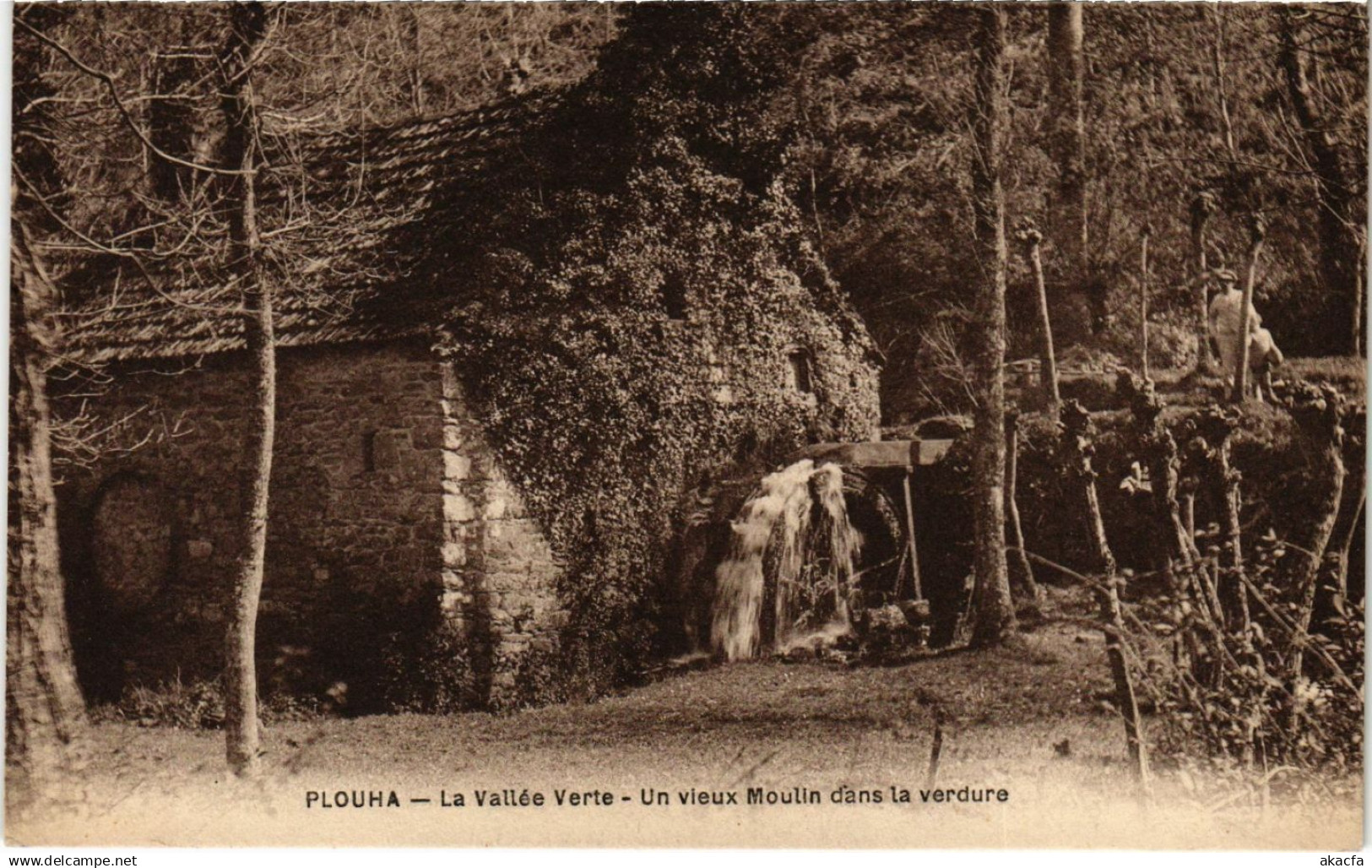 CPA PLOUHA - La Vallée Verte (994801)