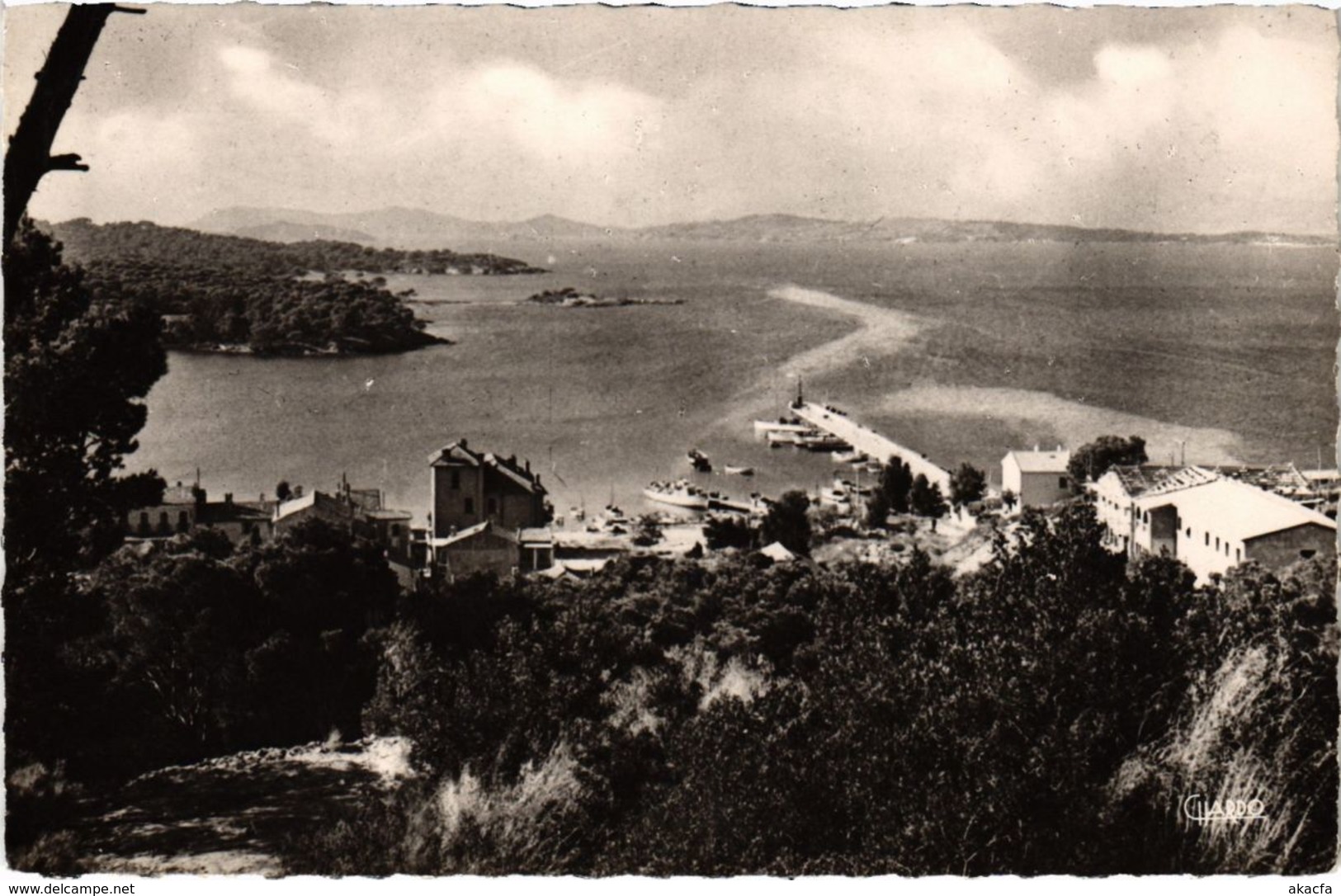 CPA PORQUEROLLES - Les Iles d'Or - Vue générale (106735)