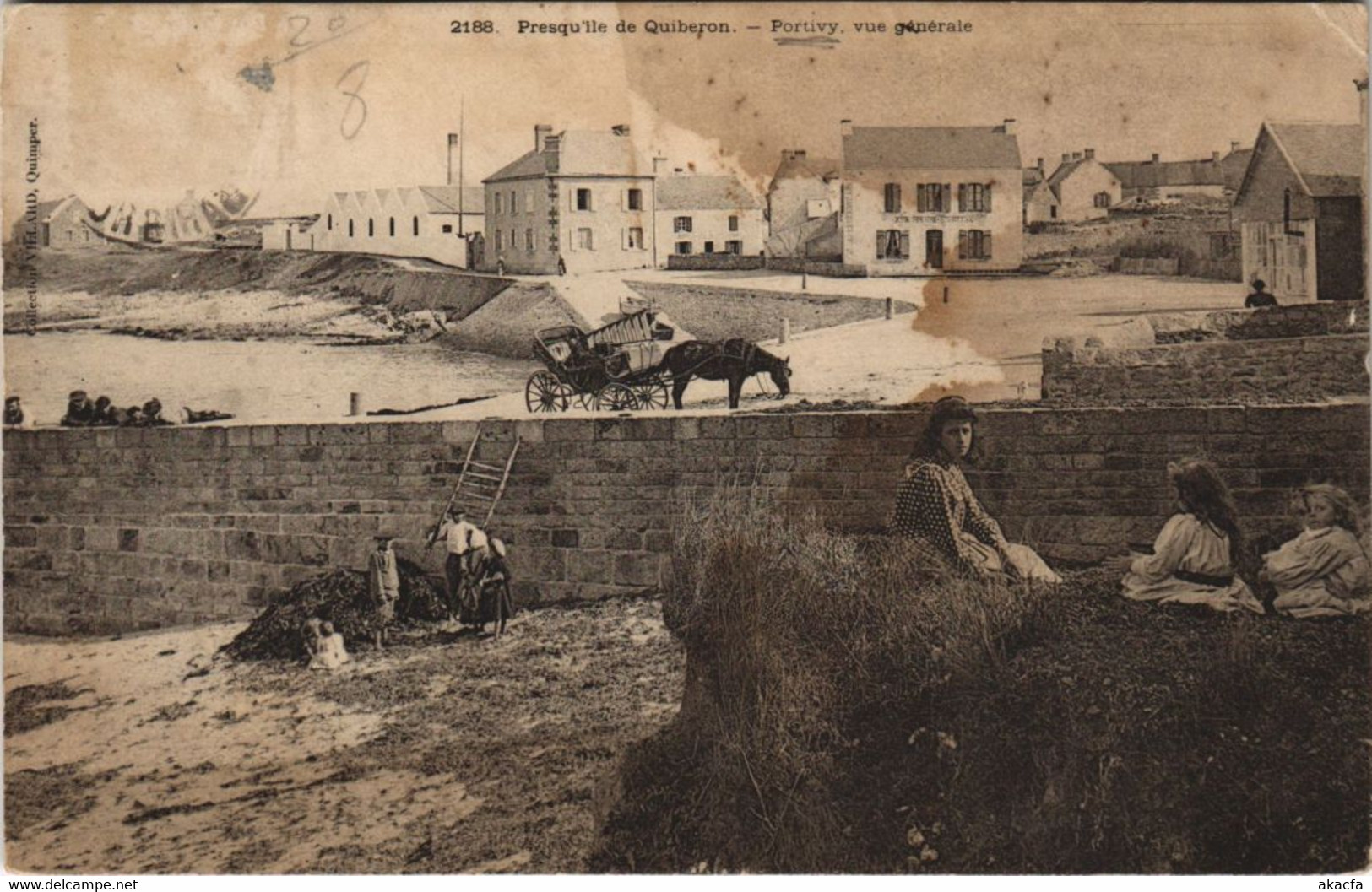 CPA Prasqu'ile de QUIBERON - PONTIVY vue générale (33082)