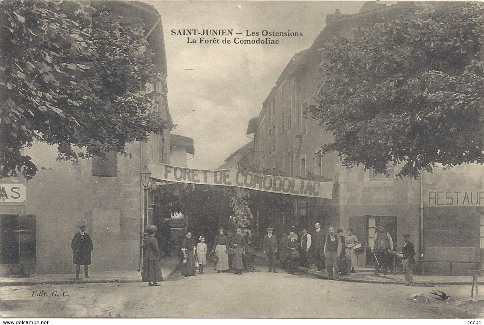 CPA Saint-Junien Les Ostensions La Forêt de Comodoliac