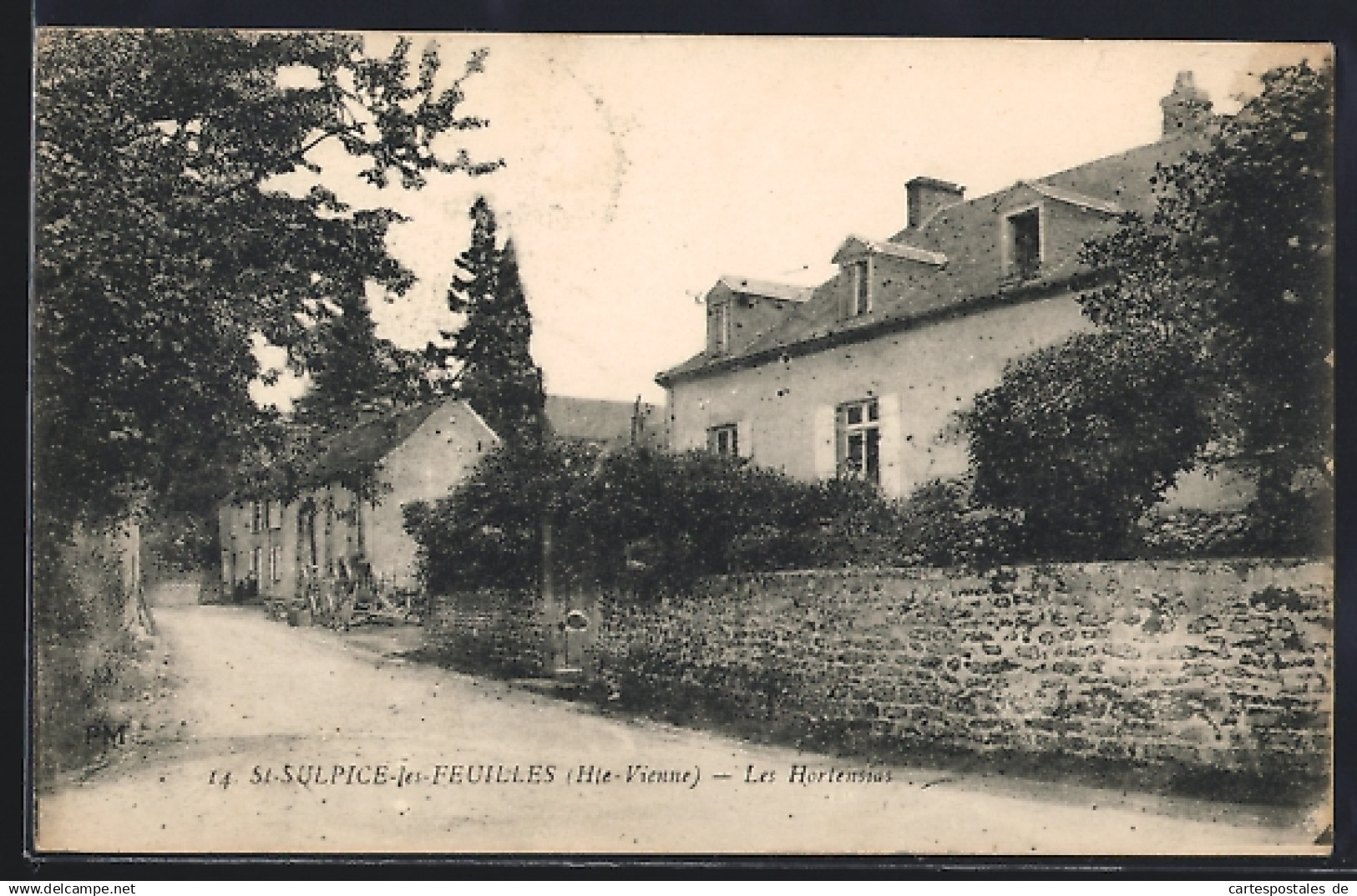 CPA Saint-Sulpice-les-Feuilles, Le Hortensia