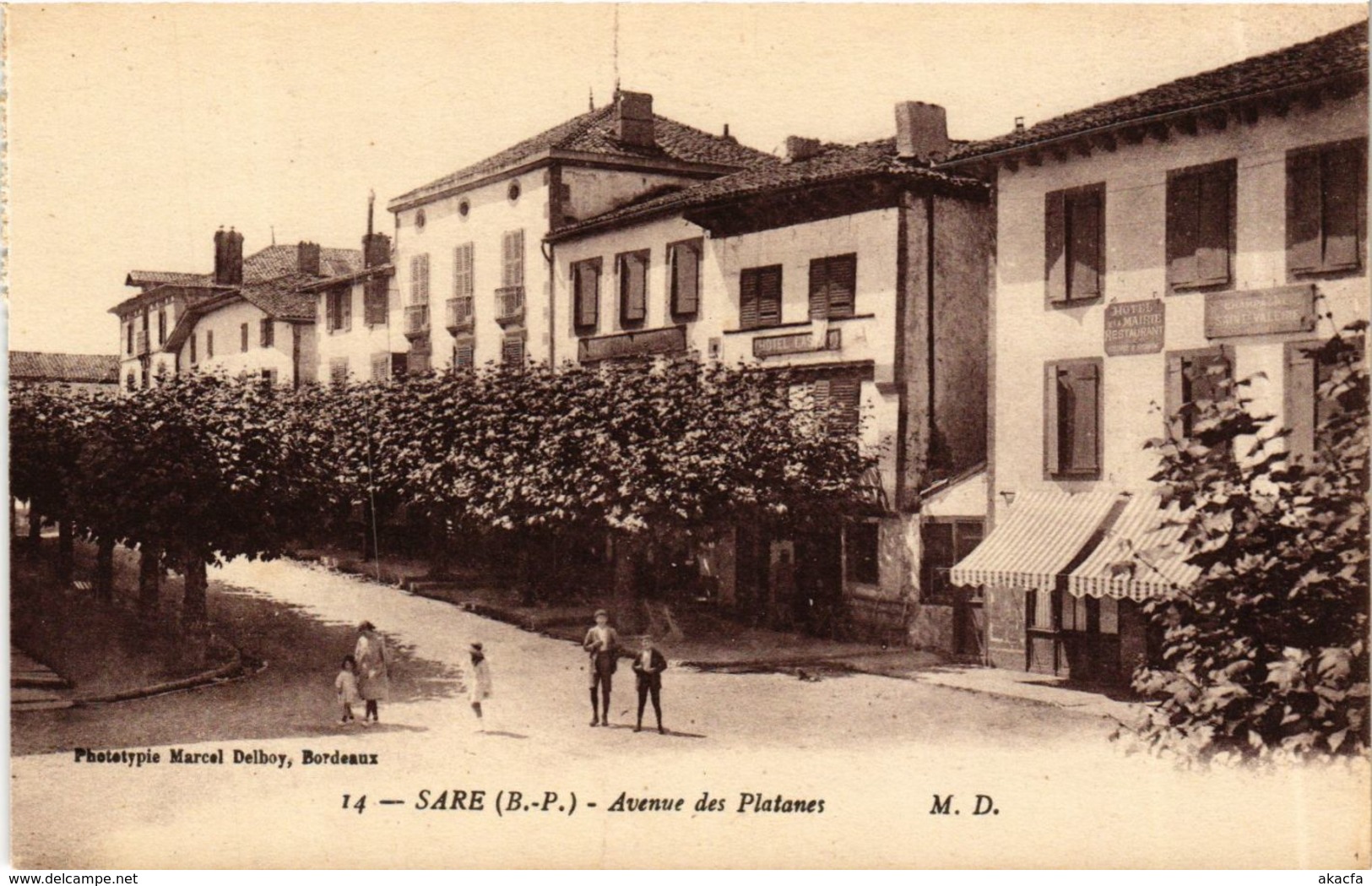 CPA SARE Avenue es Platanes (868806)