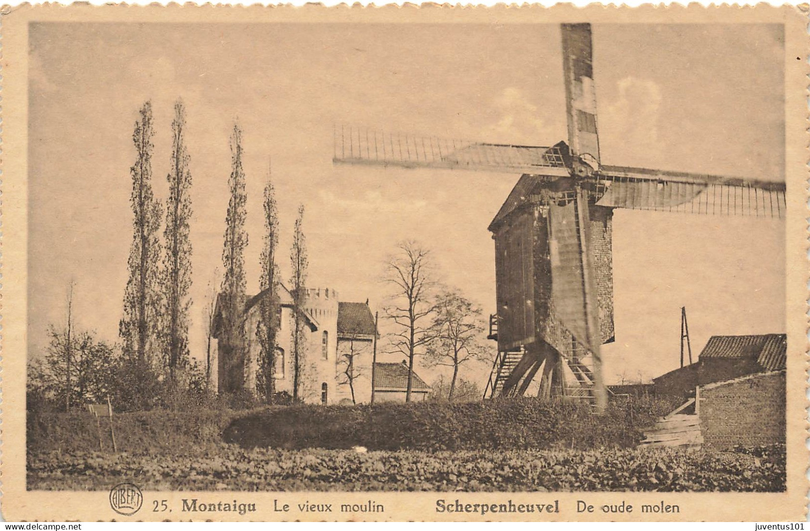 CPA Scherpenheuvel Zichem-Montaigu-Le vieux moulin, De oude molen         L2812