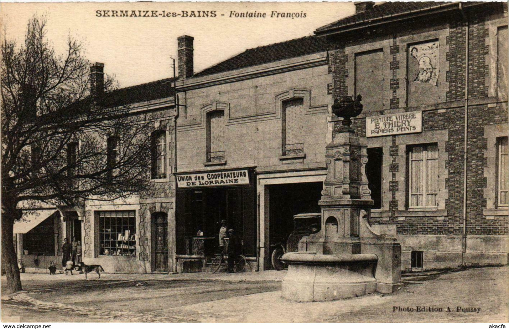 CPA SERMAIZE-les-BAINS Fontaine Francois (864593)