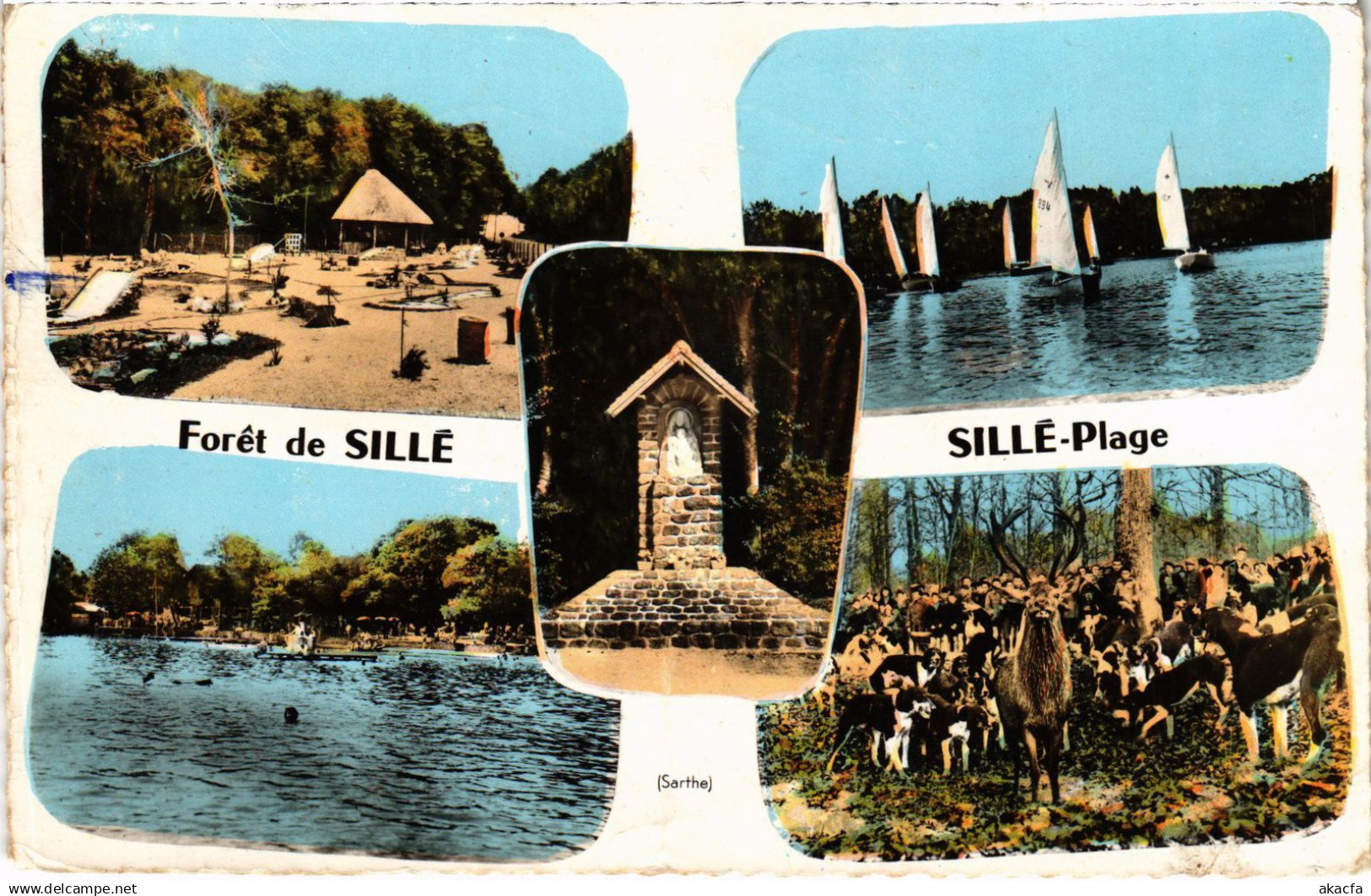 CPA SILLE-le-GUILLAUME Foret de Sille - Plage FRANCE (1434024)