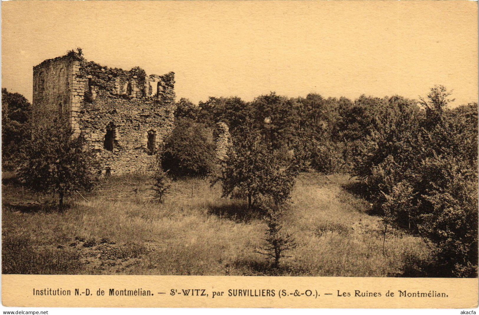 CPA Survilliers Les Ruines de Montmelian FRANCE (1307814)