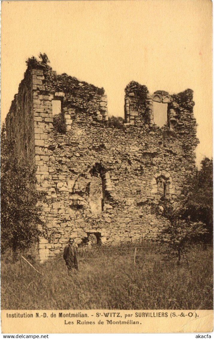 CPA Survilliers Les Ruines de Montmelian FRANCE (1332675)