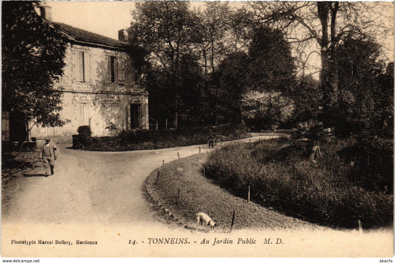 CPA TONNEINS Au Jardin Public (89864)