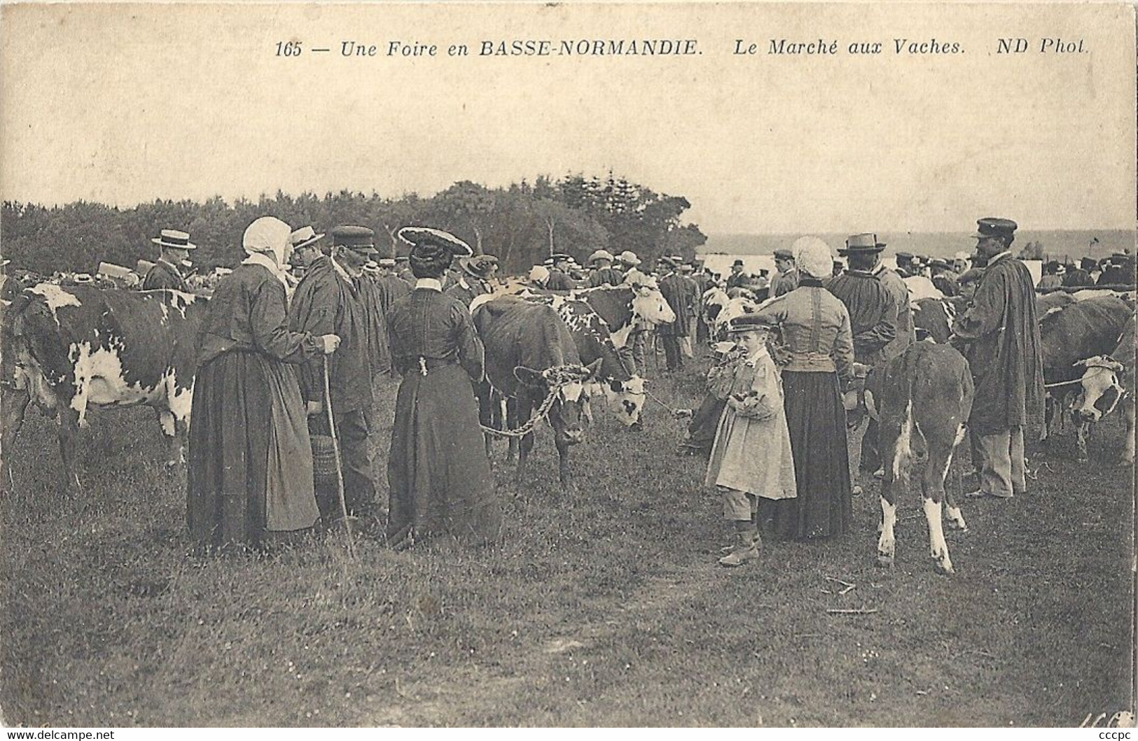 CPA Une foire en Basse-Normandie Le marché aux Vaches