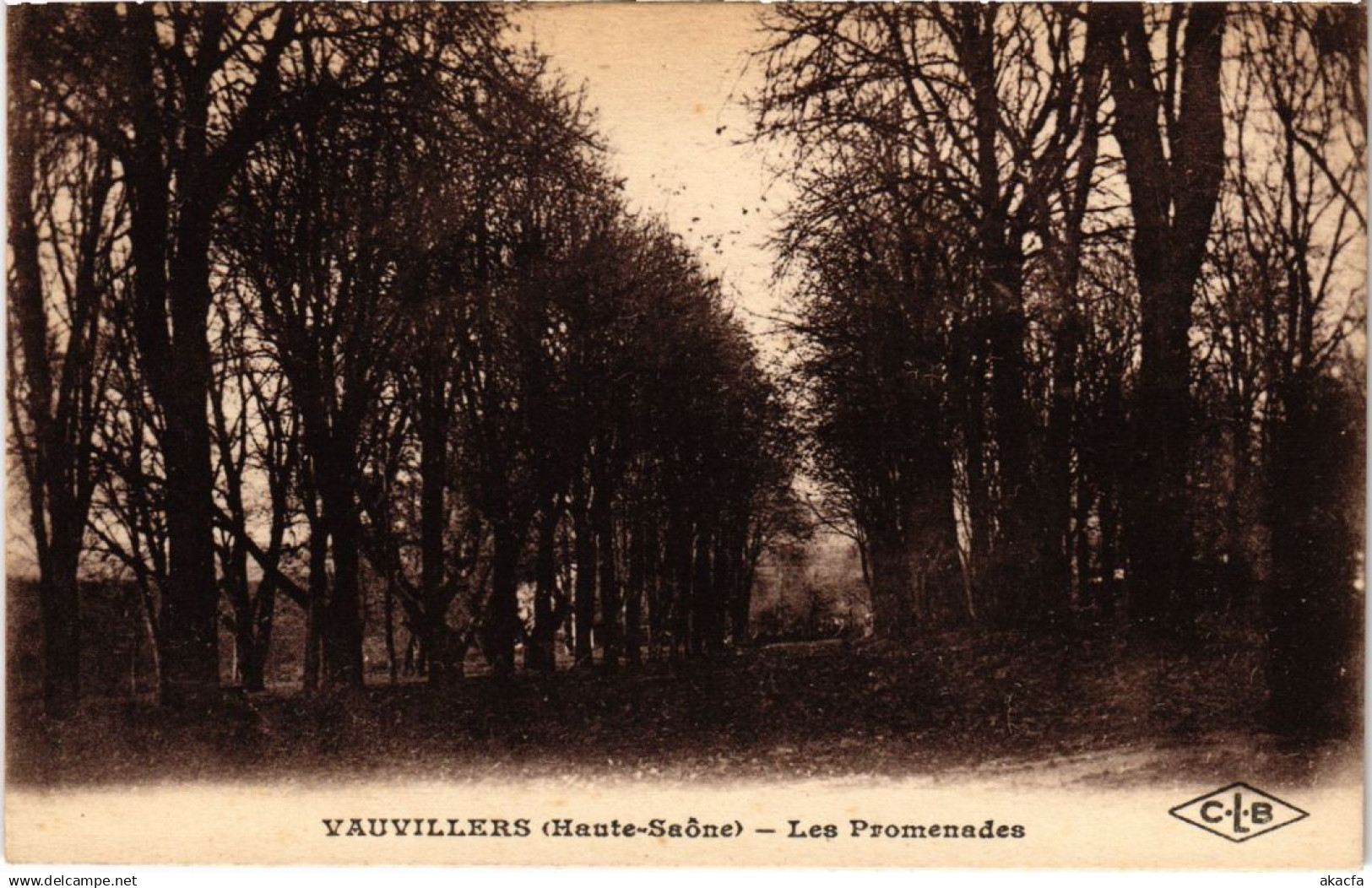 CPA Vauvillers Les Promenades (1273797)