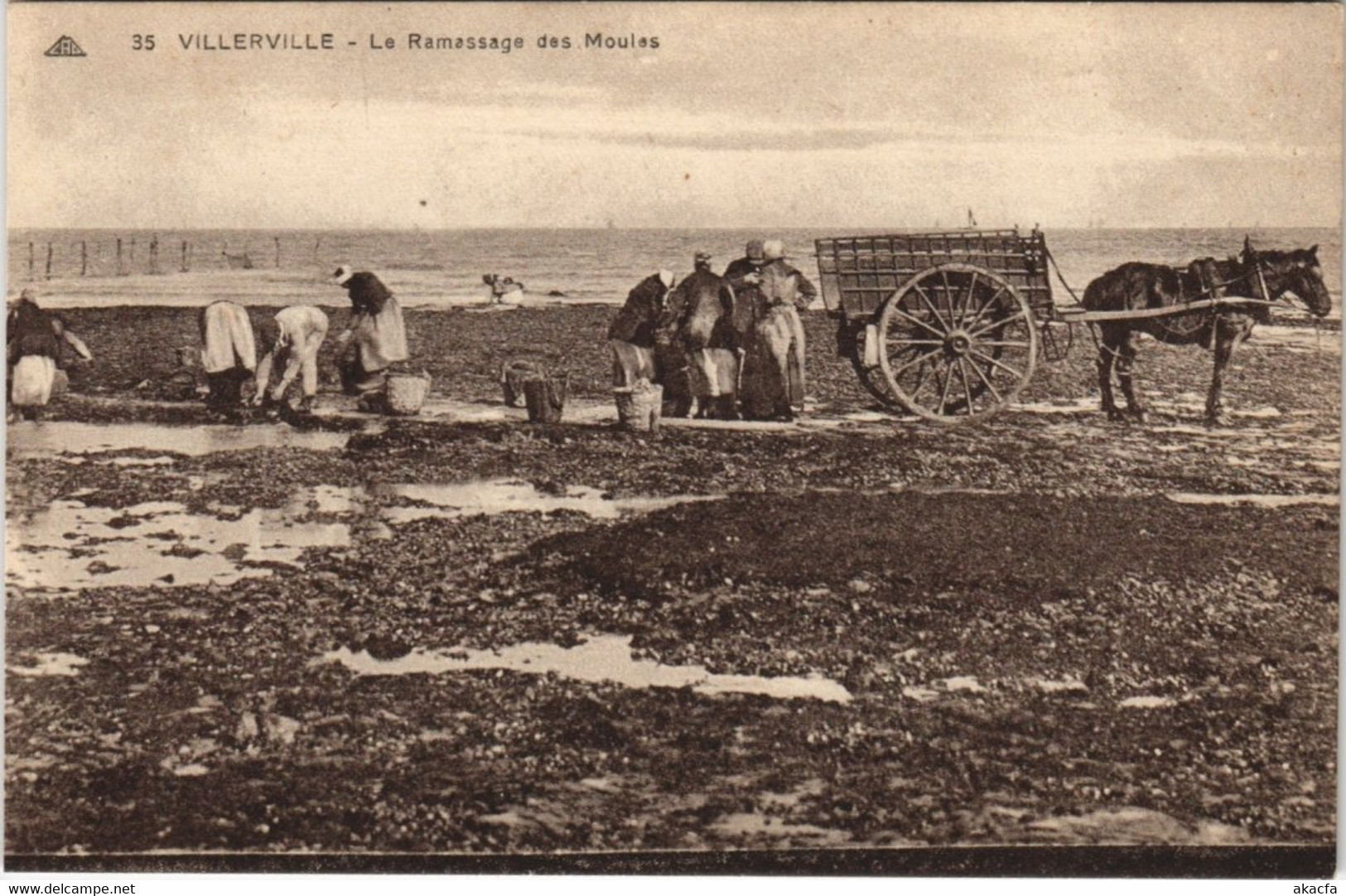 CPA VILLERVILLE - Le Ramassage des Moules (141151)