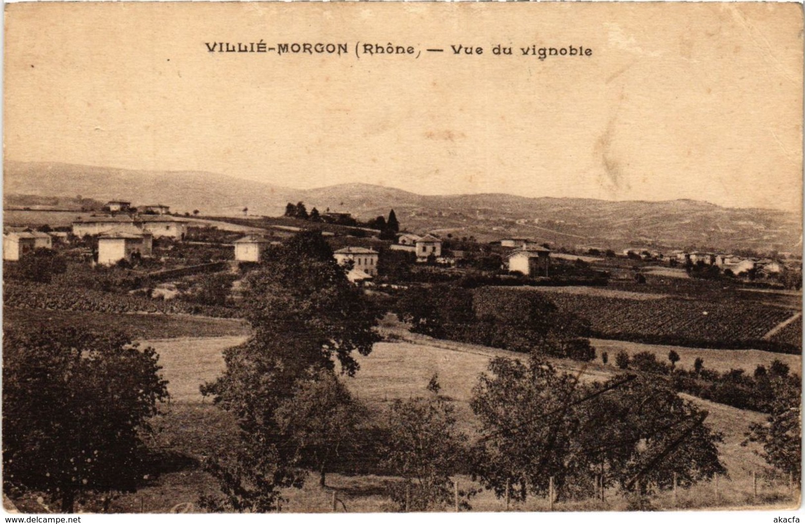 CPA Villie-Morgon - Vue du Vignoble (1036588)