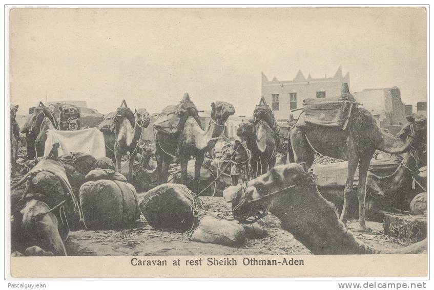 CPA YEMEN - CARAVANE - CHAMEAUX AU REPOS - CARAVAN AT REST SHEIKH OTHMAN-ADEN