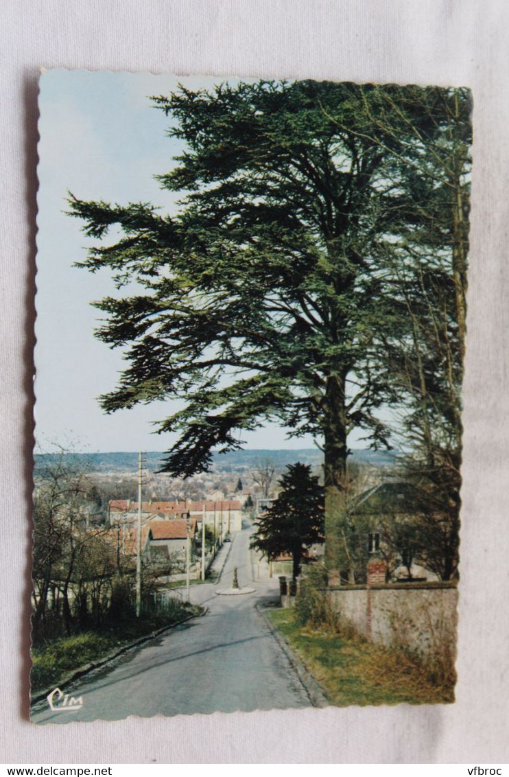 Cpm 1978, Franconville, le Cèdre, Val d'Oise 95