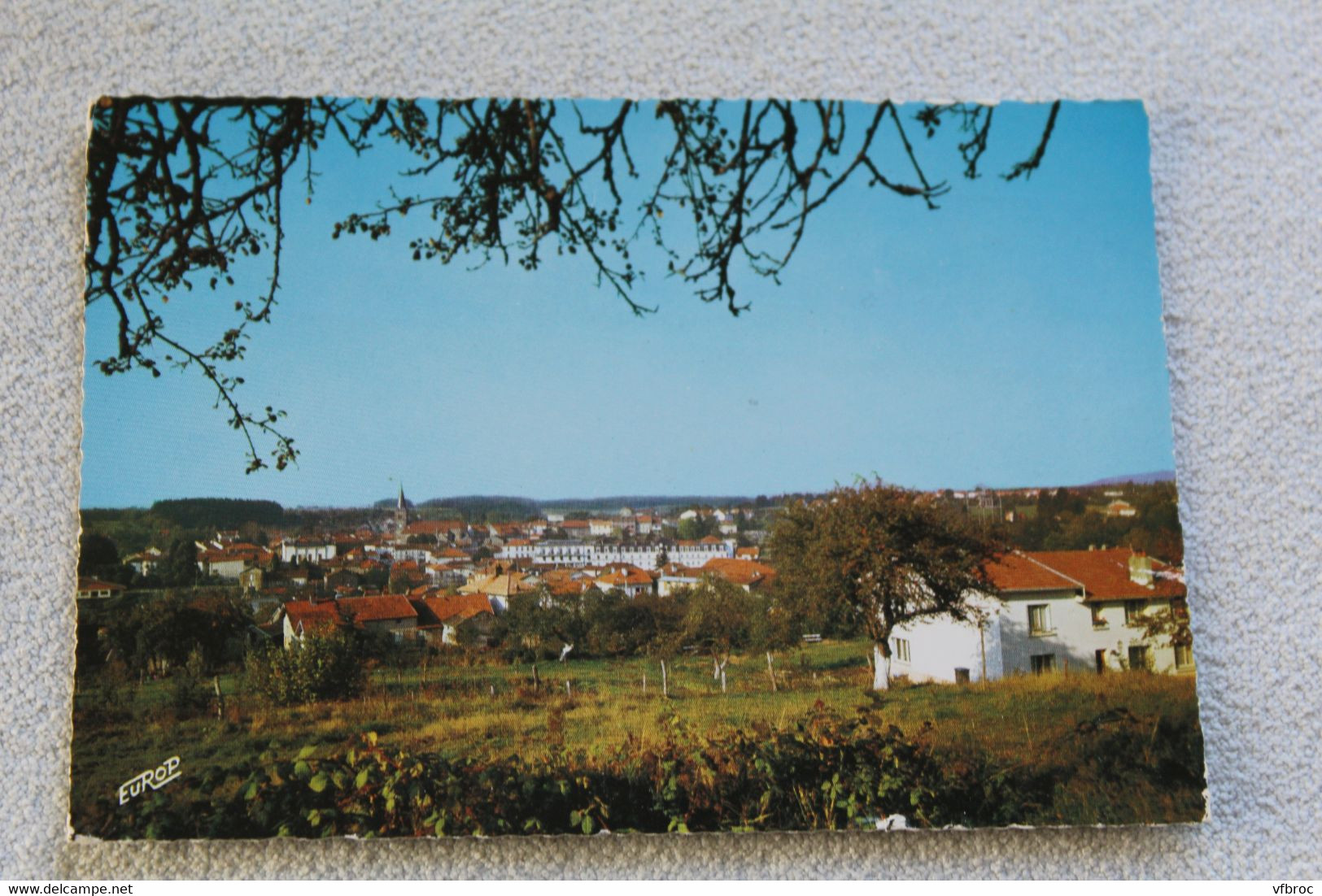 Cpm 1982, Bains les Bains, vue générale, Vosges 88