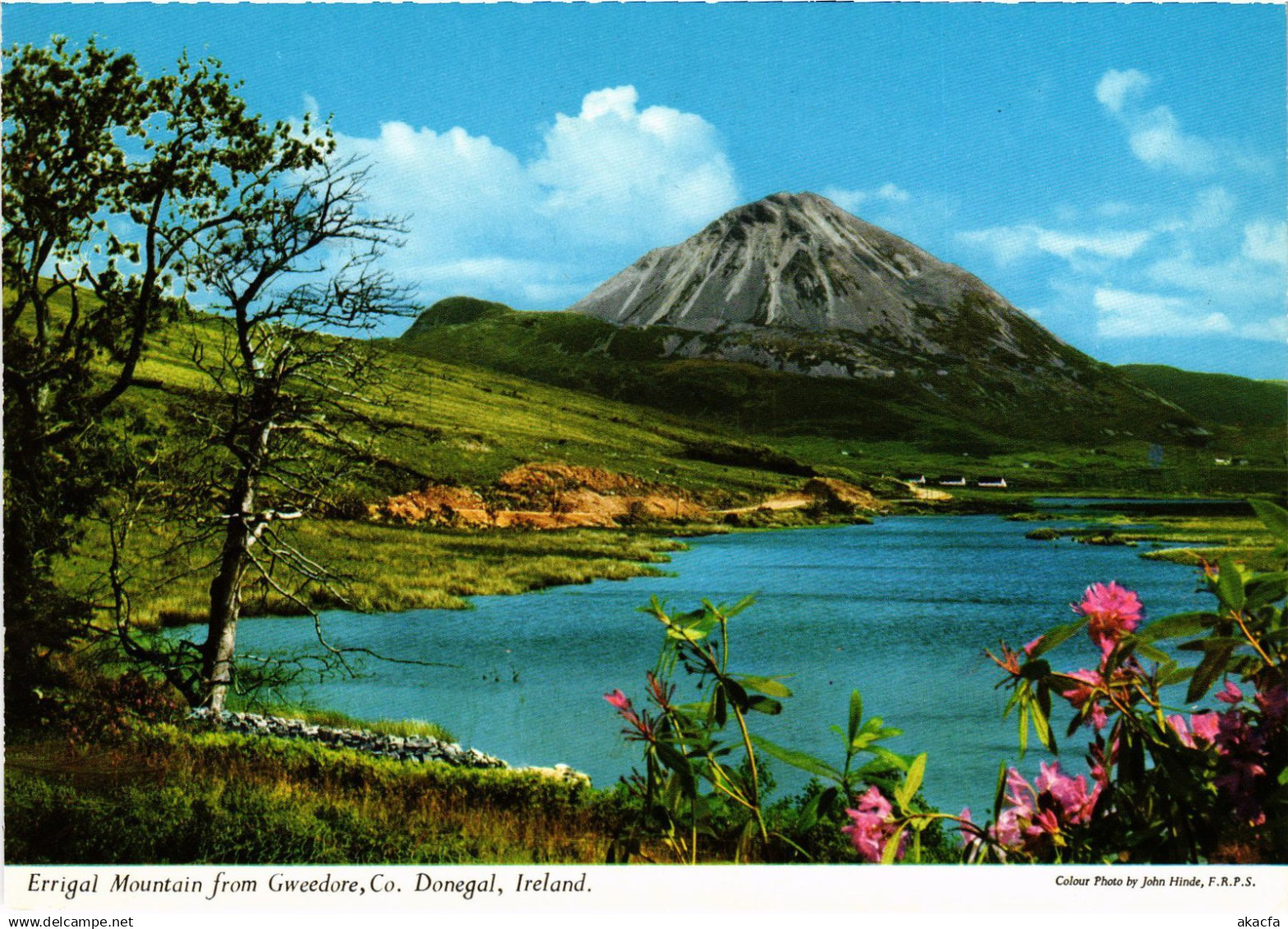 CPM AK Donegal Errigal Mountain IRELAND (1440707)