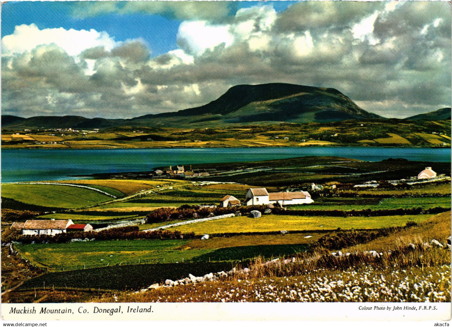 CPM AK Donegal Muckish Mountain IRELAND (1440683)