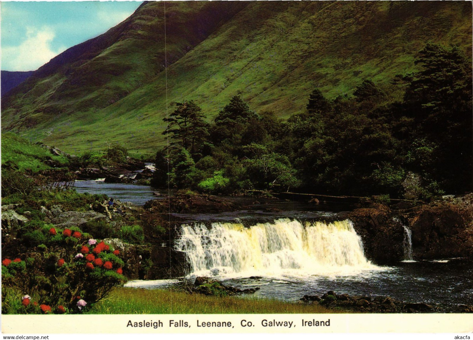 CPM AK Galway Aasleagh Falls IRELAND (1440780)