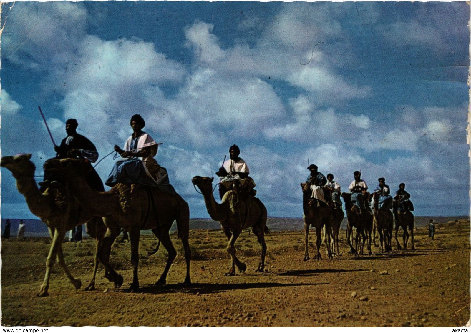 CPM AK MAROC Goulimine. Hommes bleus du Sud (342450)