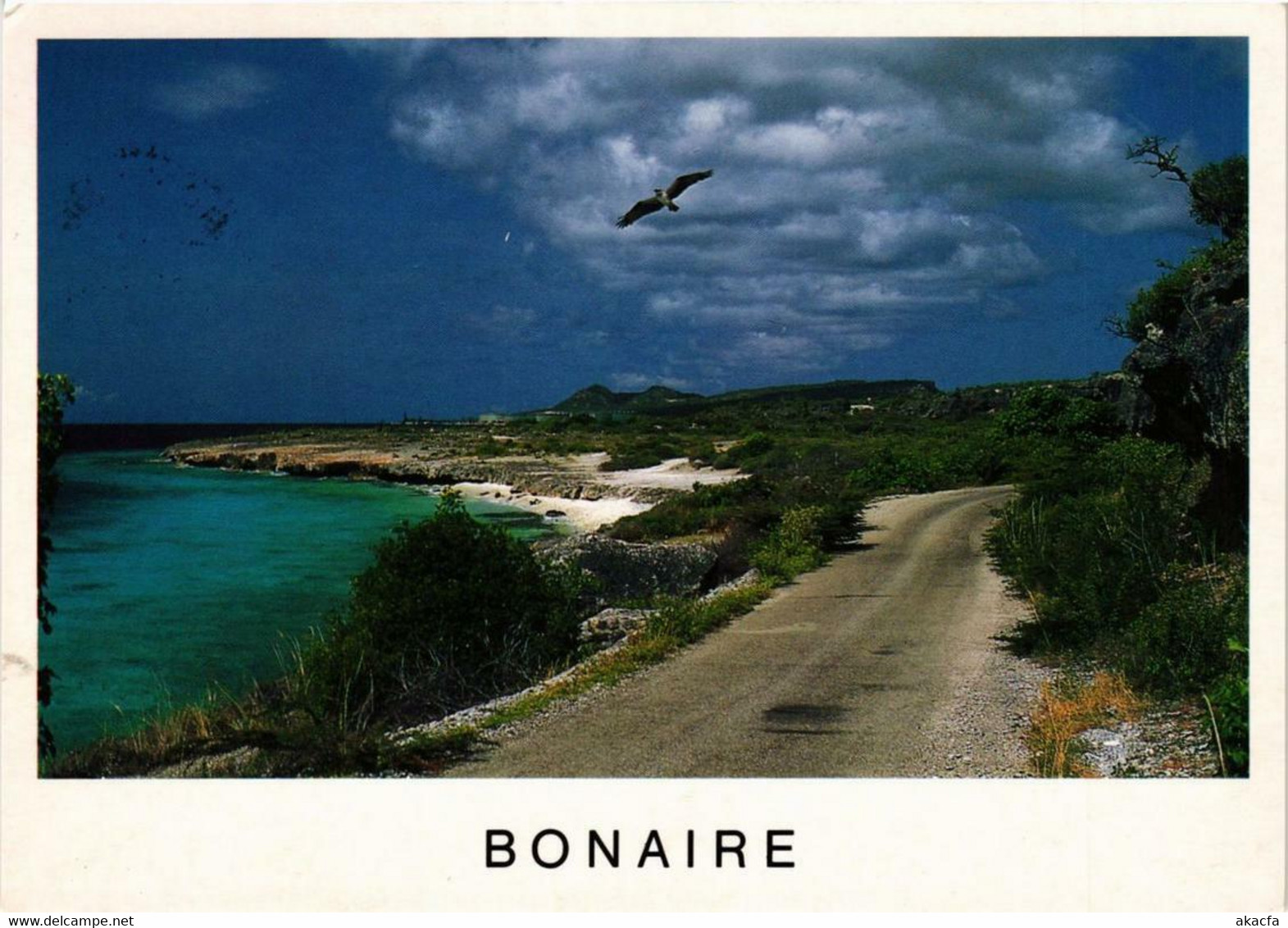 CPM AK Vue générale BONAIRE (750237)