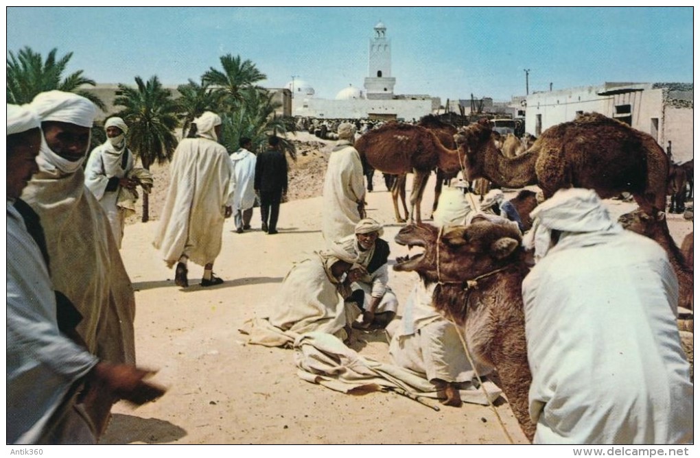 CPM ALGERIE El-Oued - Souk aux chameaux, animée